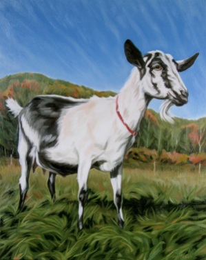 Big Picture Goat, 20 x 16