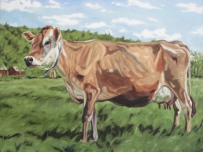 Jersey Cow, 22 x 28