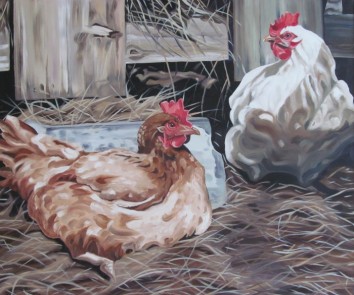 Laying Hens 30 x 36