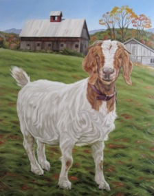 Friendly Goat, 24 x 36