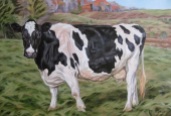 Holstein, 20x30