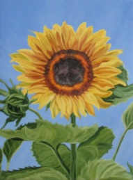 Sunflower, 24 x 18