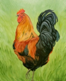 The Rooster, 24 x 20